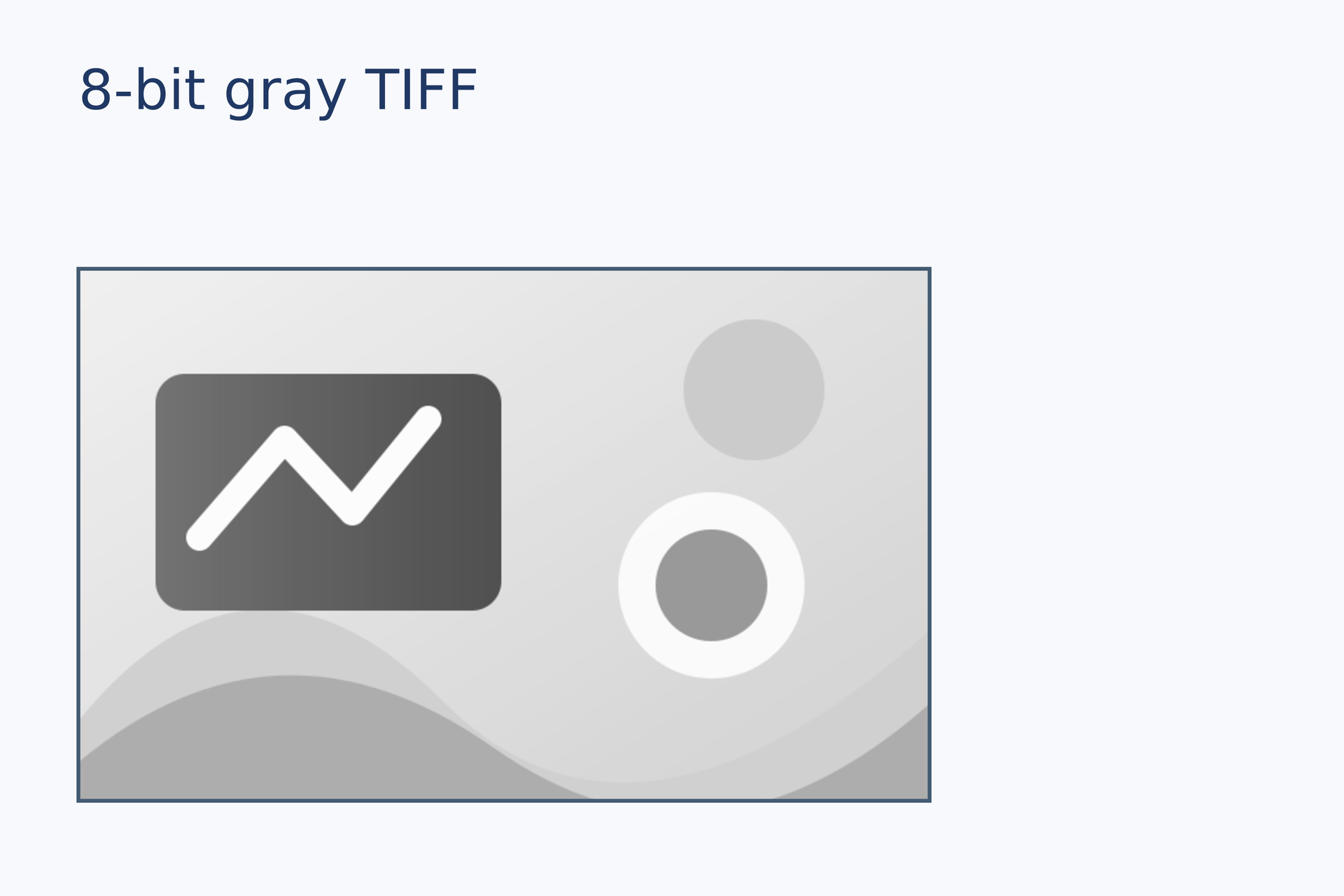 8 位灰度 TIFF
